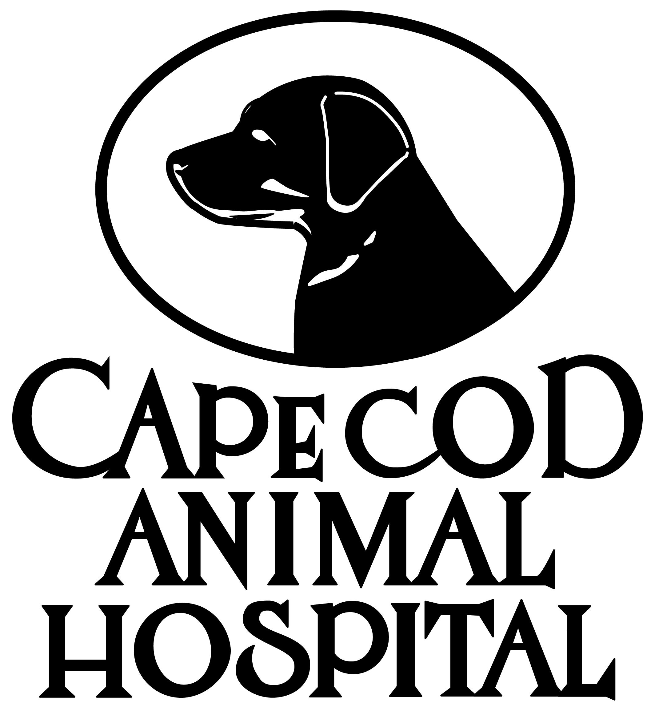 Cape Cod Animal Hospital