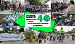 CESTA 40