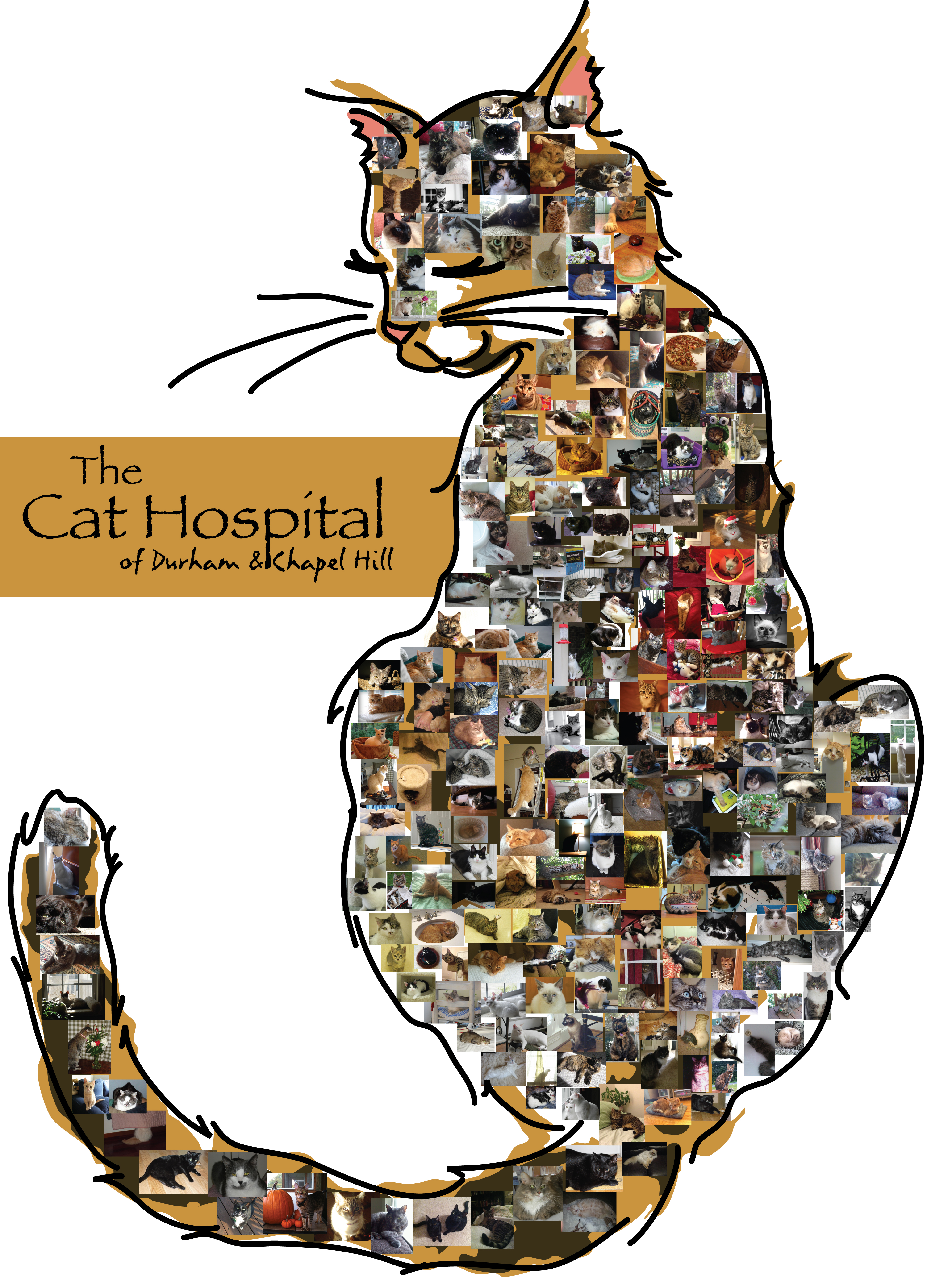 The Cat Hospital of Durham and Chapel Hill