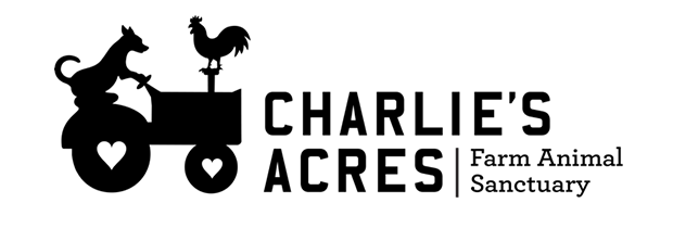 Charlie's Acres