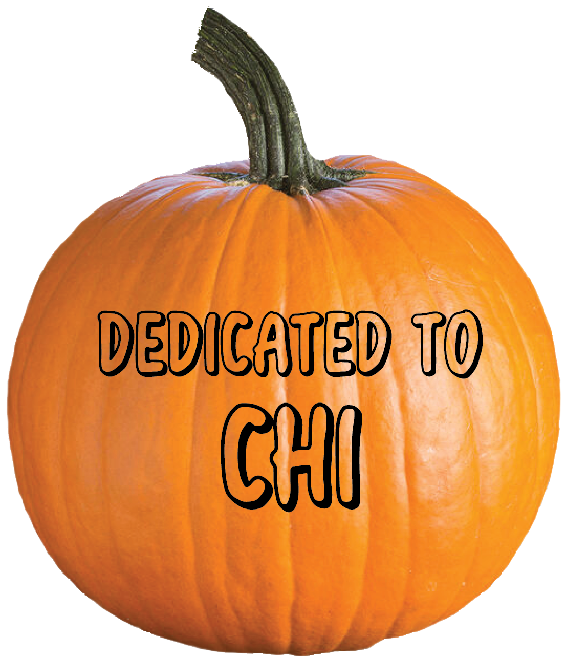 Thank You, Chi Chau, for your donation.