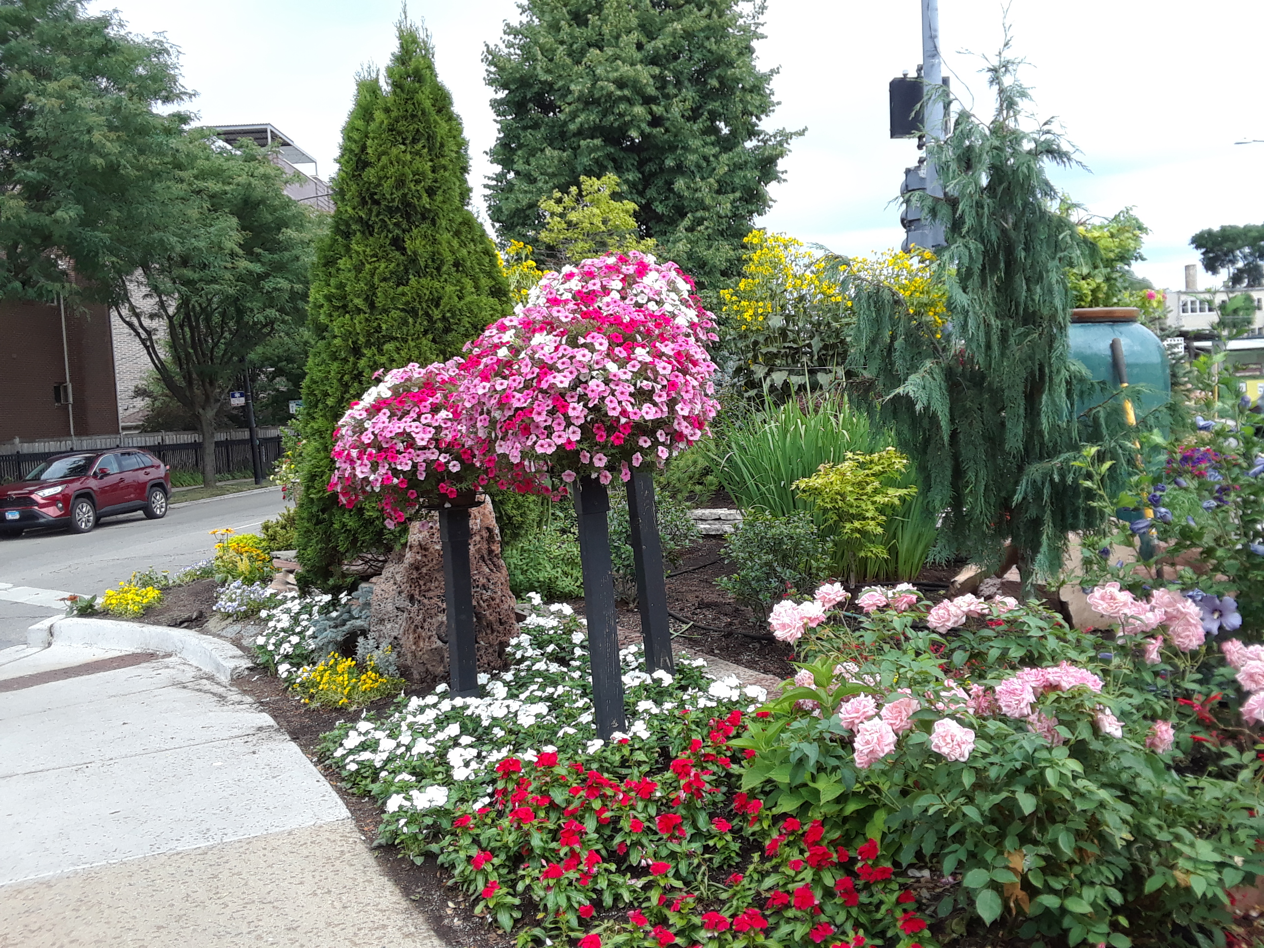 Chicago Garden Near Tom's