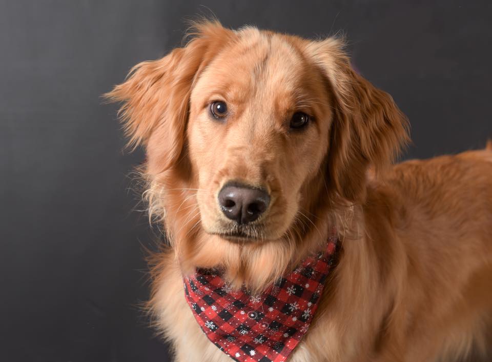 2019 December Calendar Page