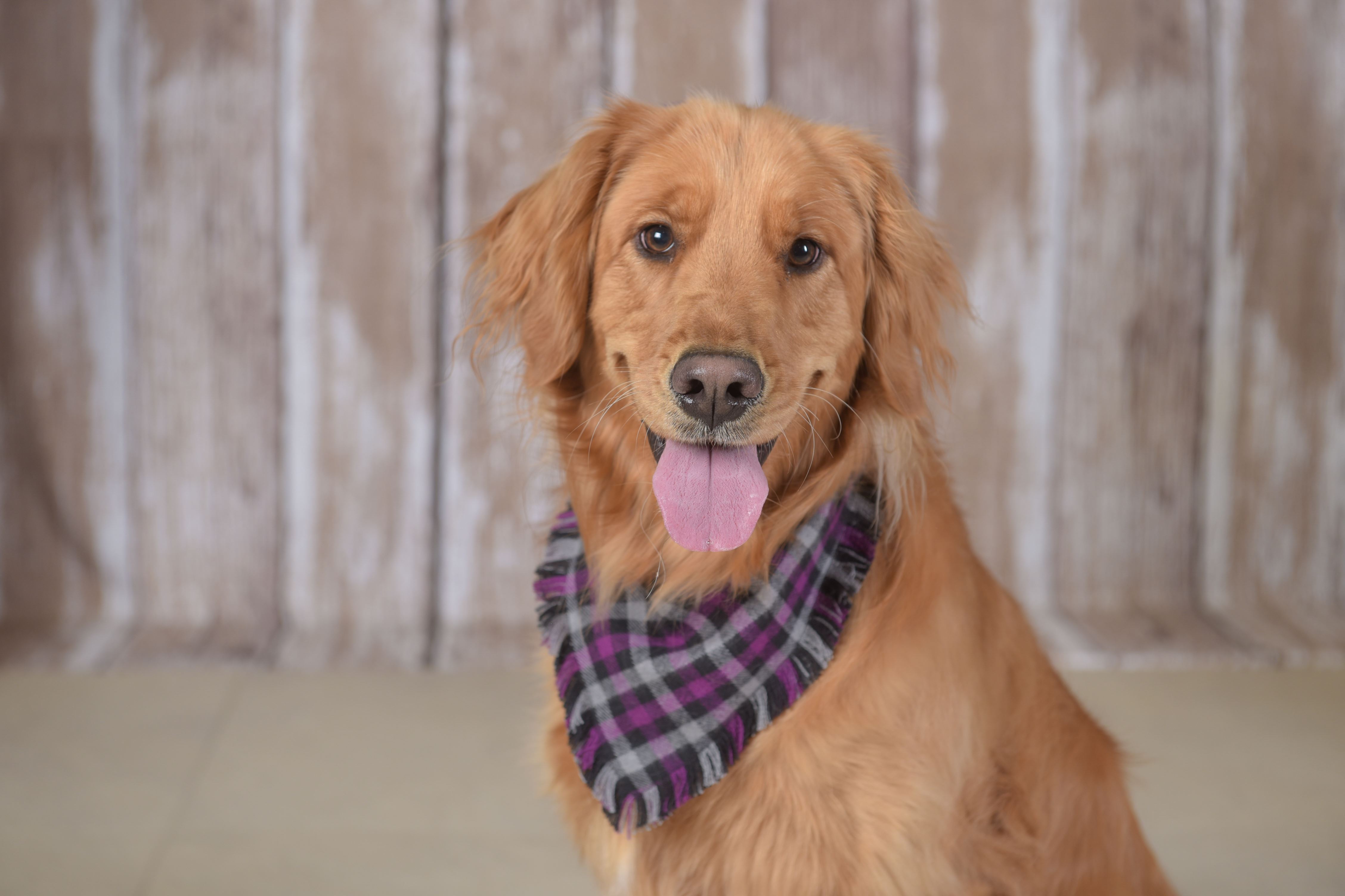 2020 March Calendar Page