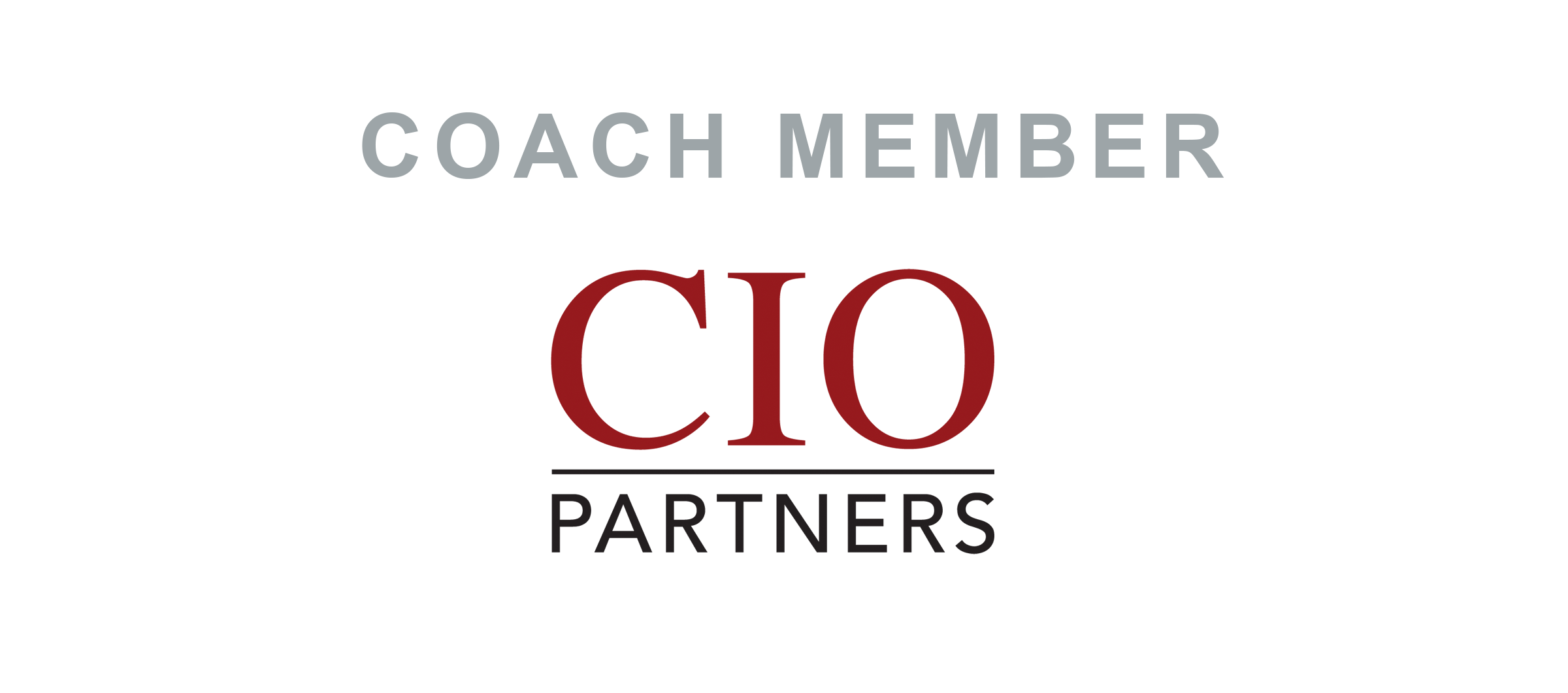 CIO Partners