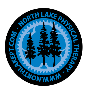 North Lake Physical Therapy