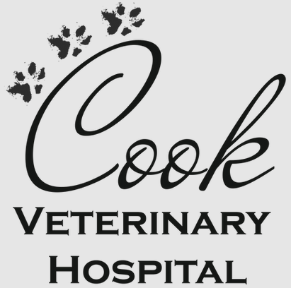 Cook Veterinary Hospital