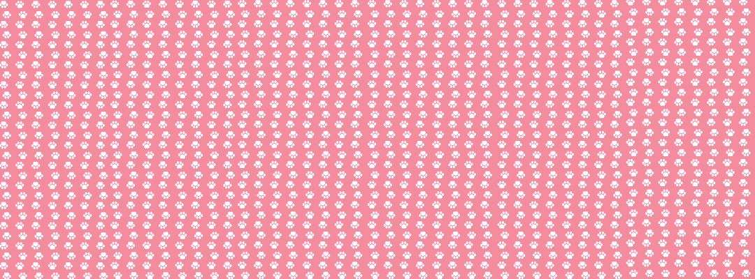 February Fix Fest 2023