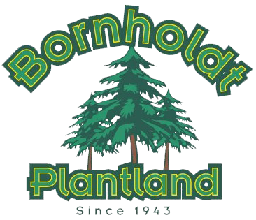 Bornholdt Plantland