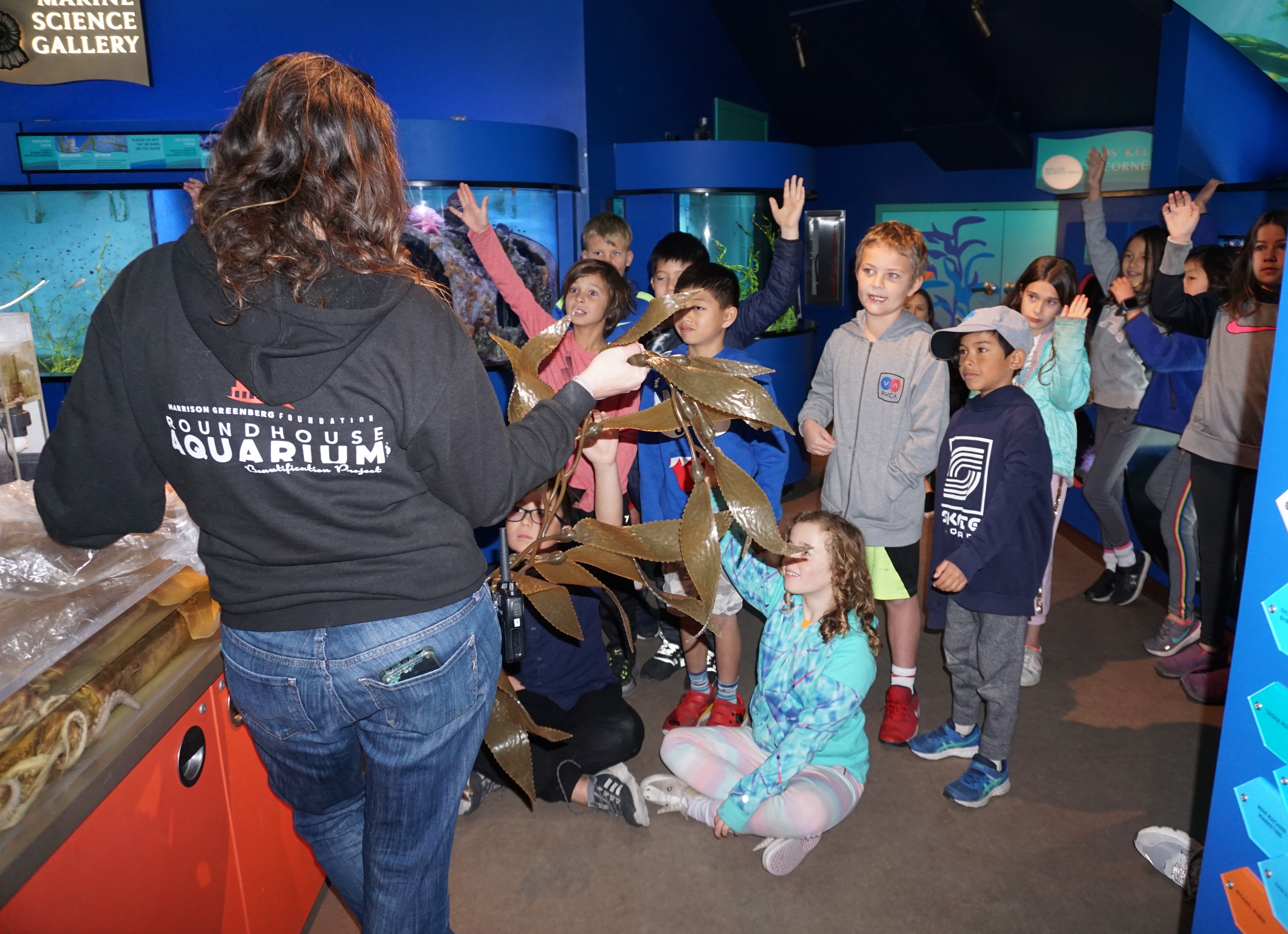 Students learn about seaweed