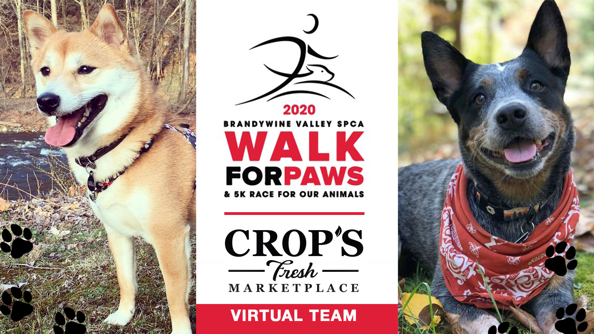 Meet Lola (left) and Fern (right)