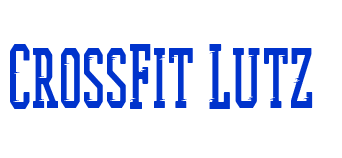 CrossFit Lutz 