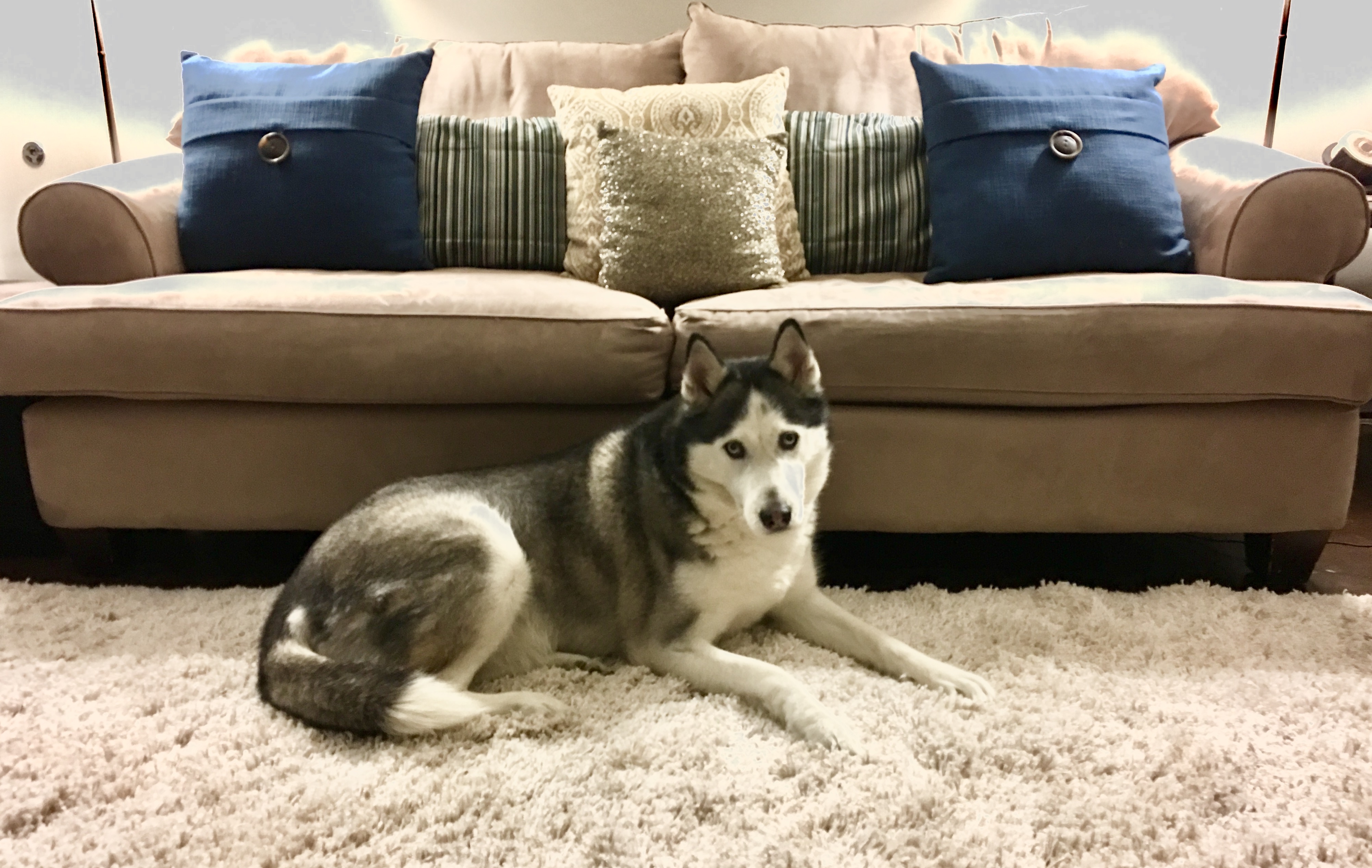 Walk 4 U Samuel and Shasta!