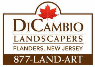 DiCambio Landscapers LLC
