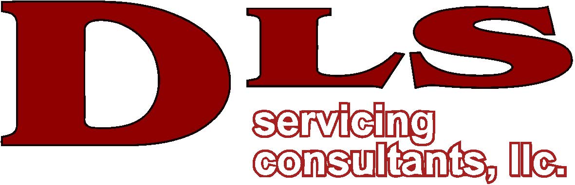 DLS Servicing Consultants