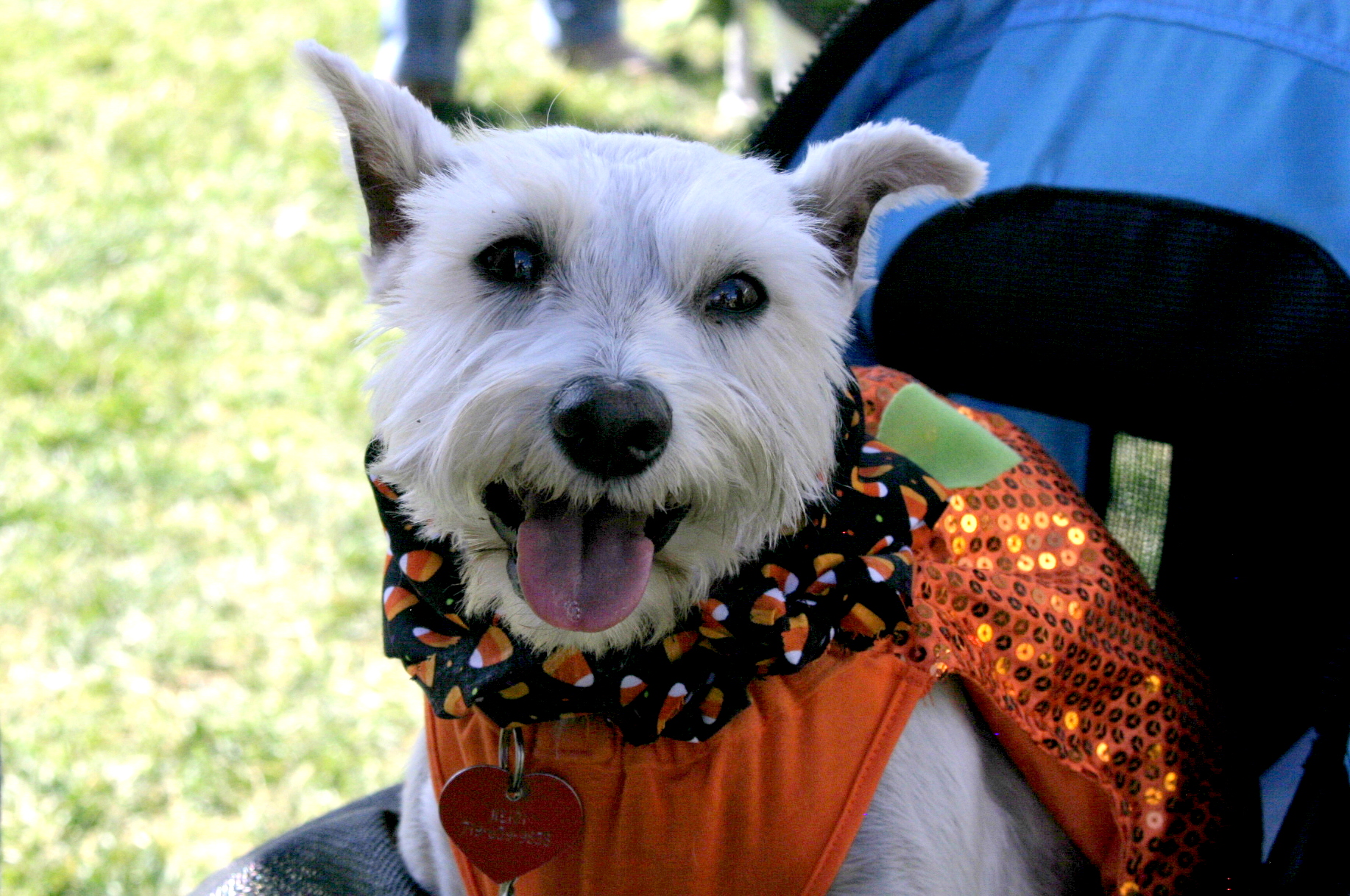 Virtual Costume Contest 