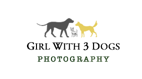 Girl with 3 Dogs Photography