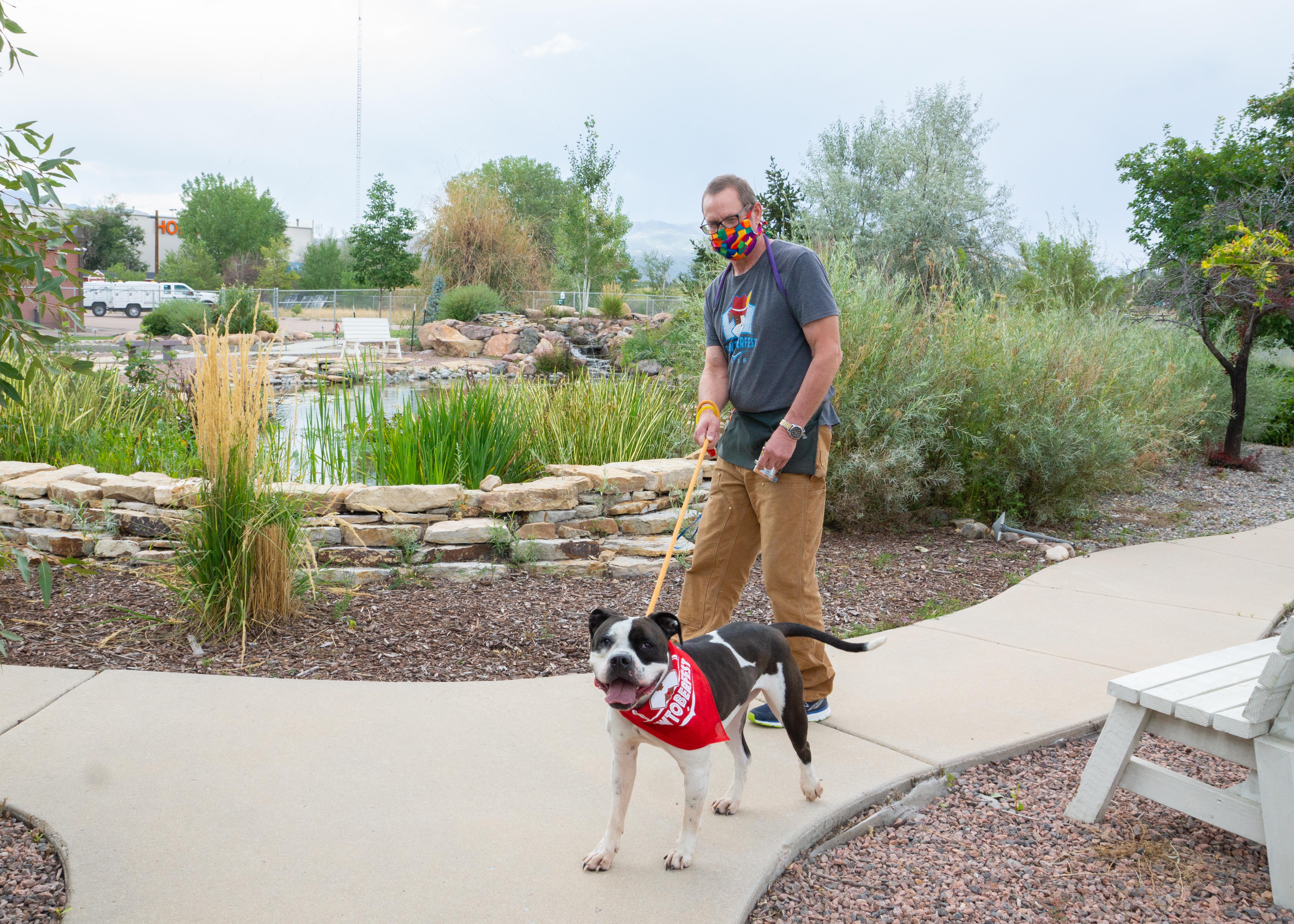 Shelter Dog Walk in the Park