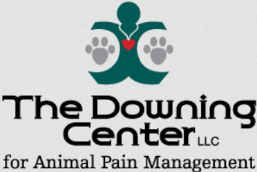 Windsor Veterinary Clinic & The Downing Center for Animal Pain Management
