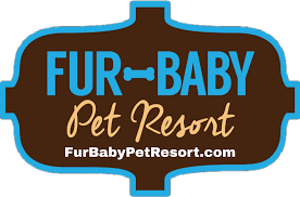 Fur Baby Pet Resort