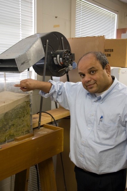 Faculty Advisor- Dr. Ajoy Kumar