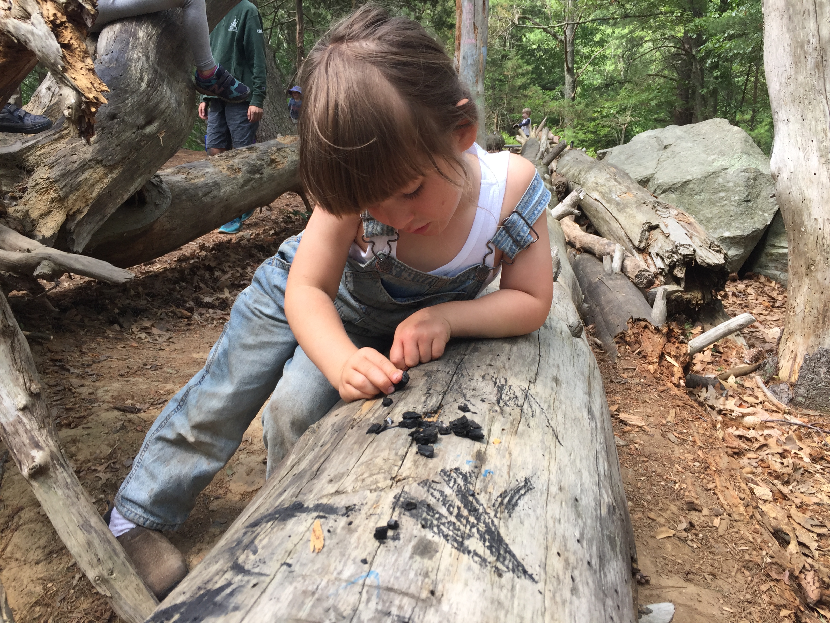 Nurturing creativity and contemplation