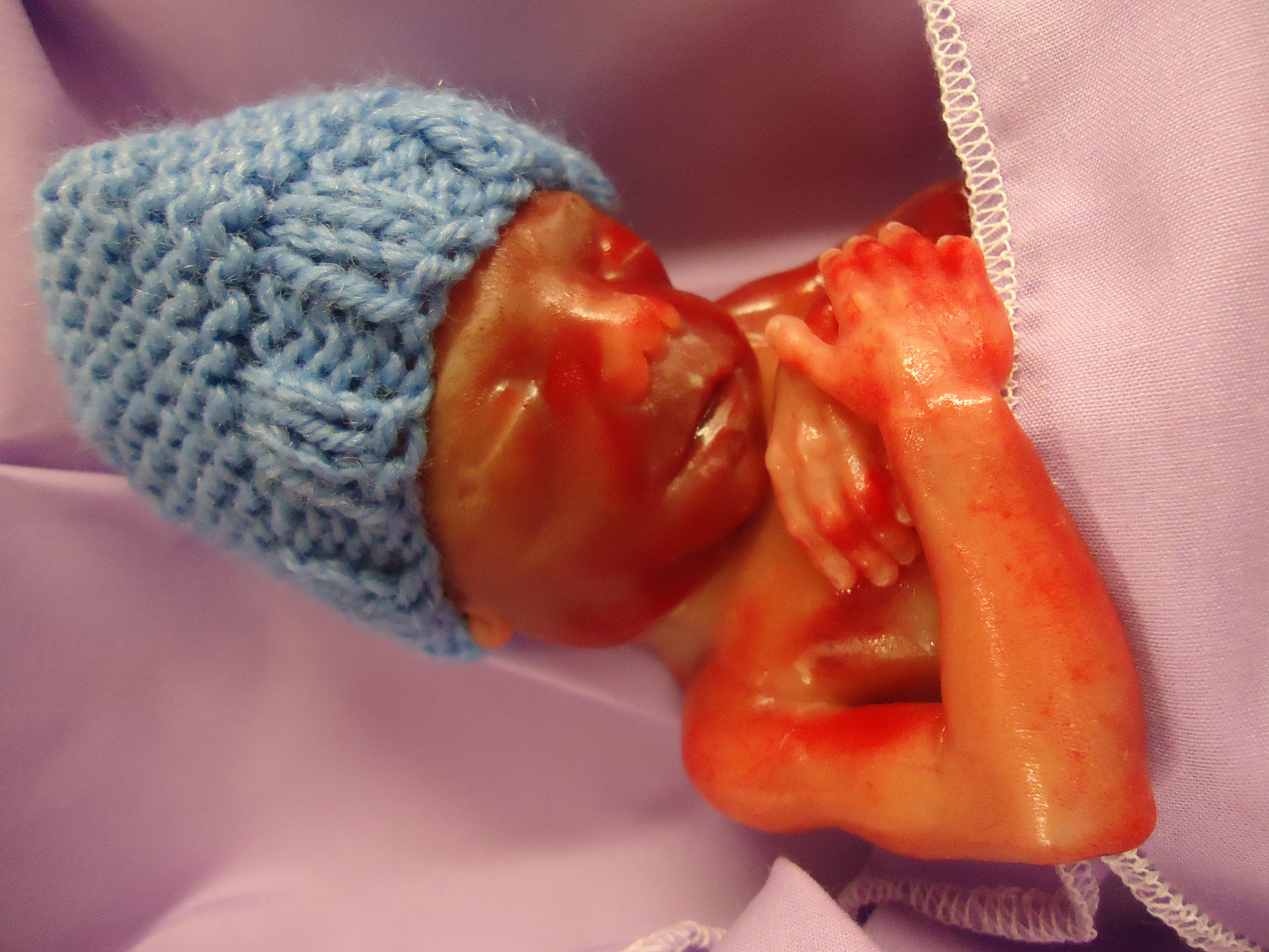 Introducing Gavin Karl 