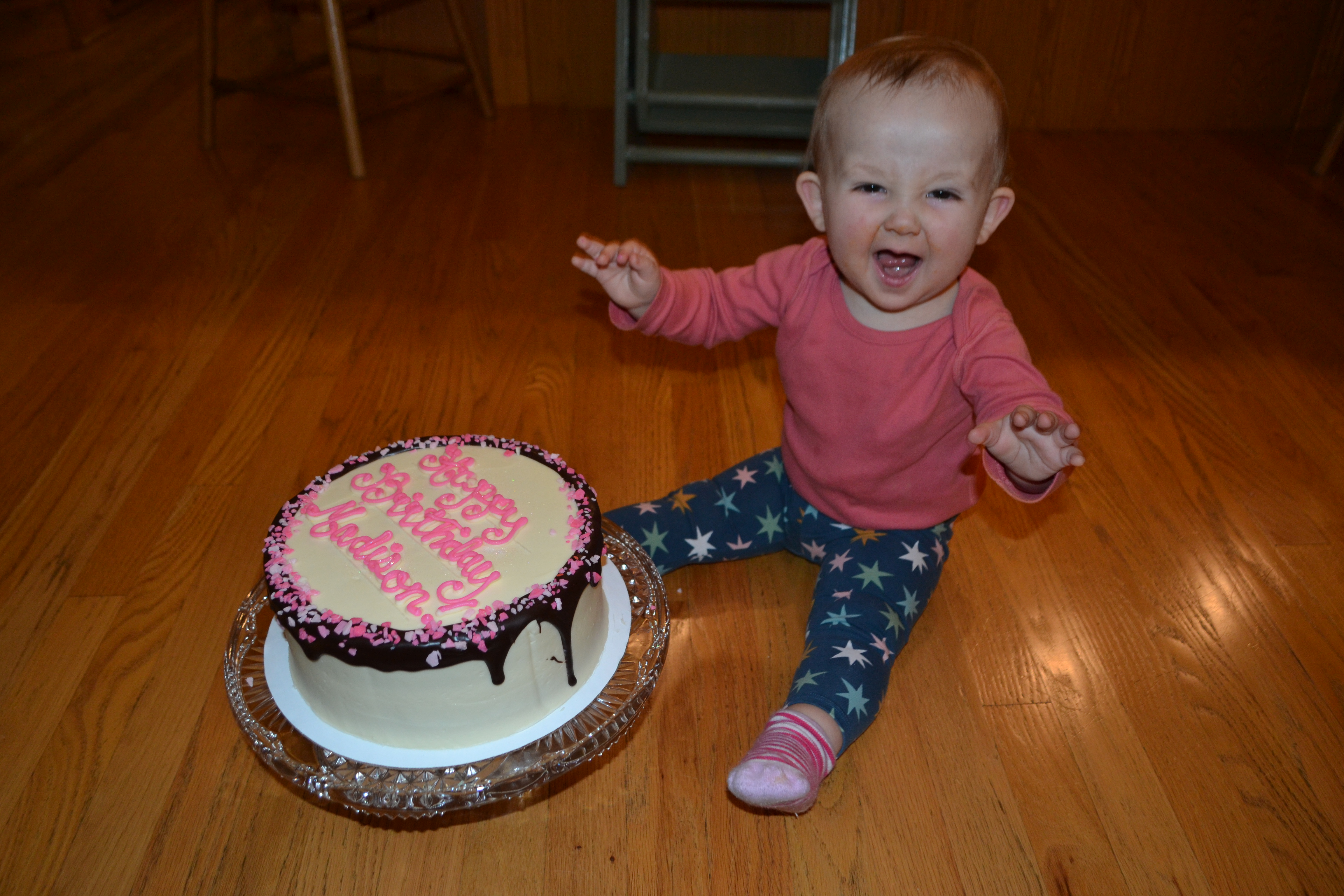 Madison's First Birthday