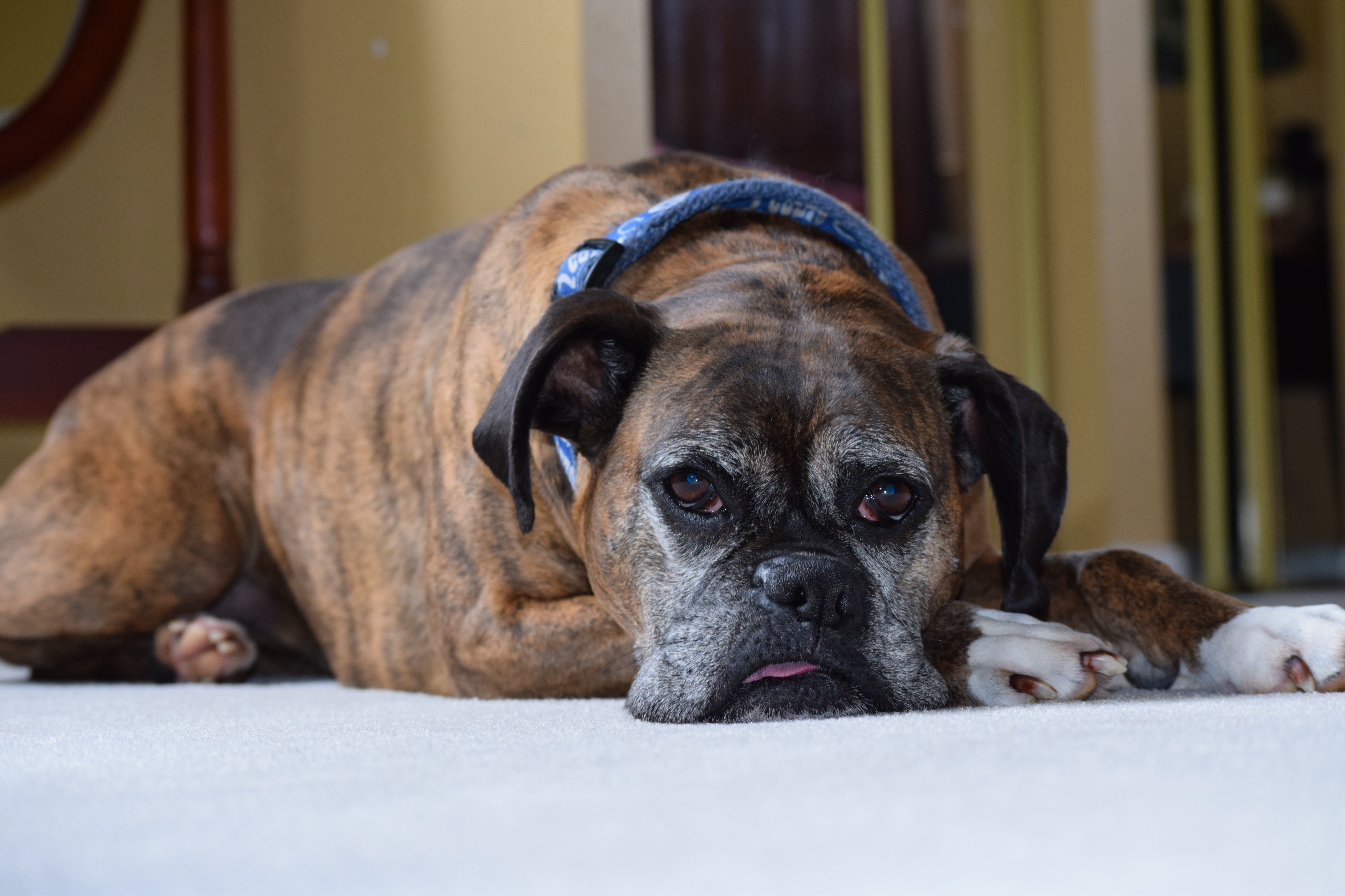 Miss "I stick my tongue out a lot".