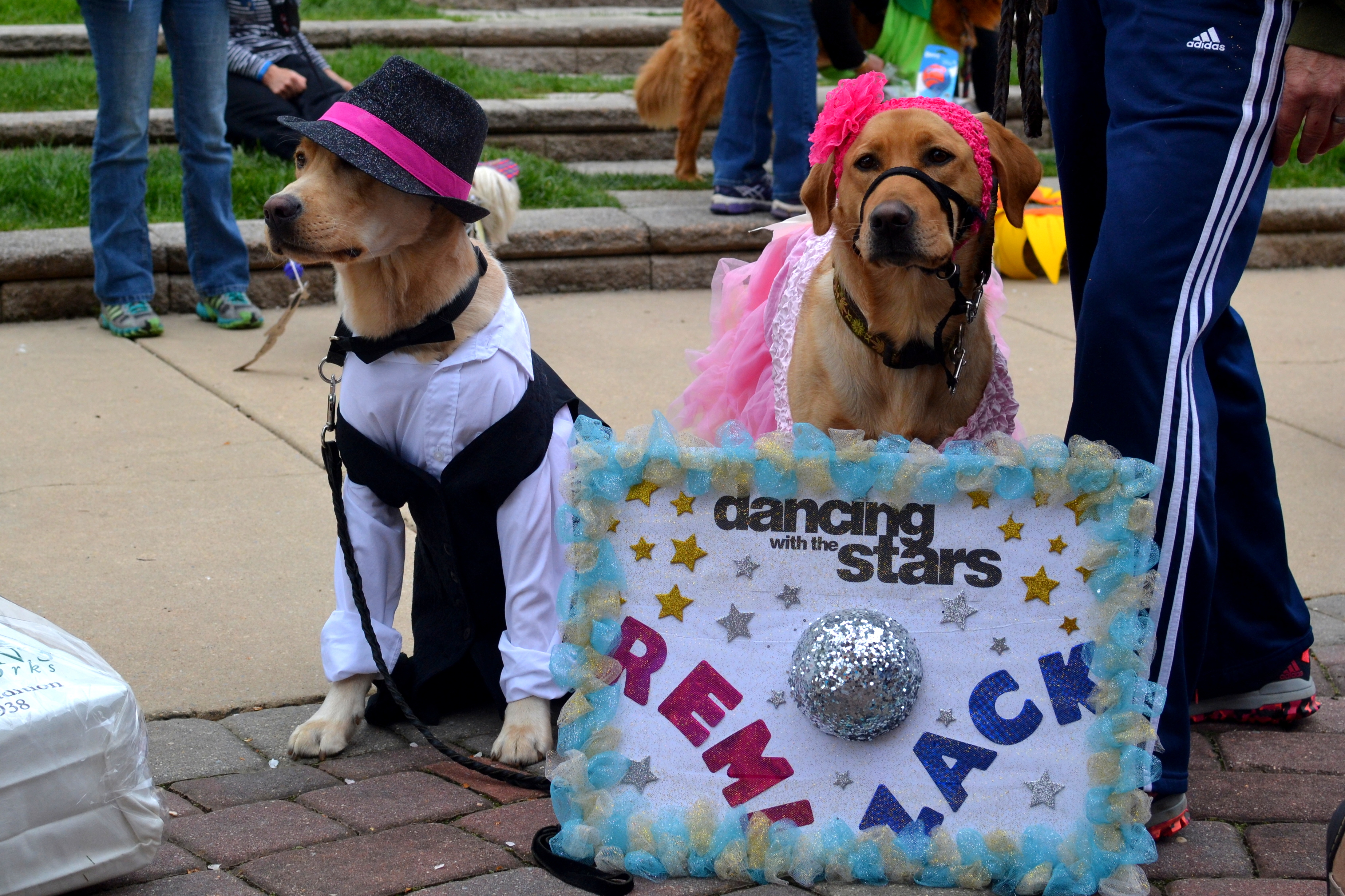 Pet Costume Contest