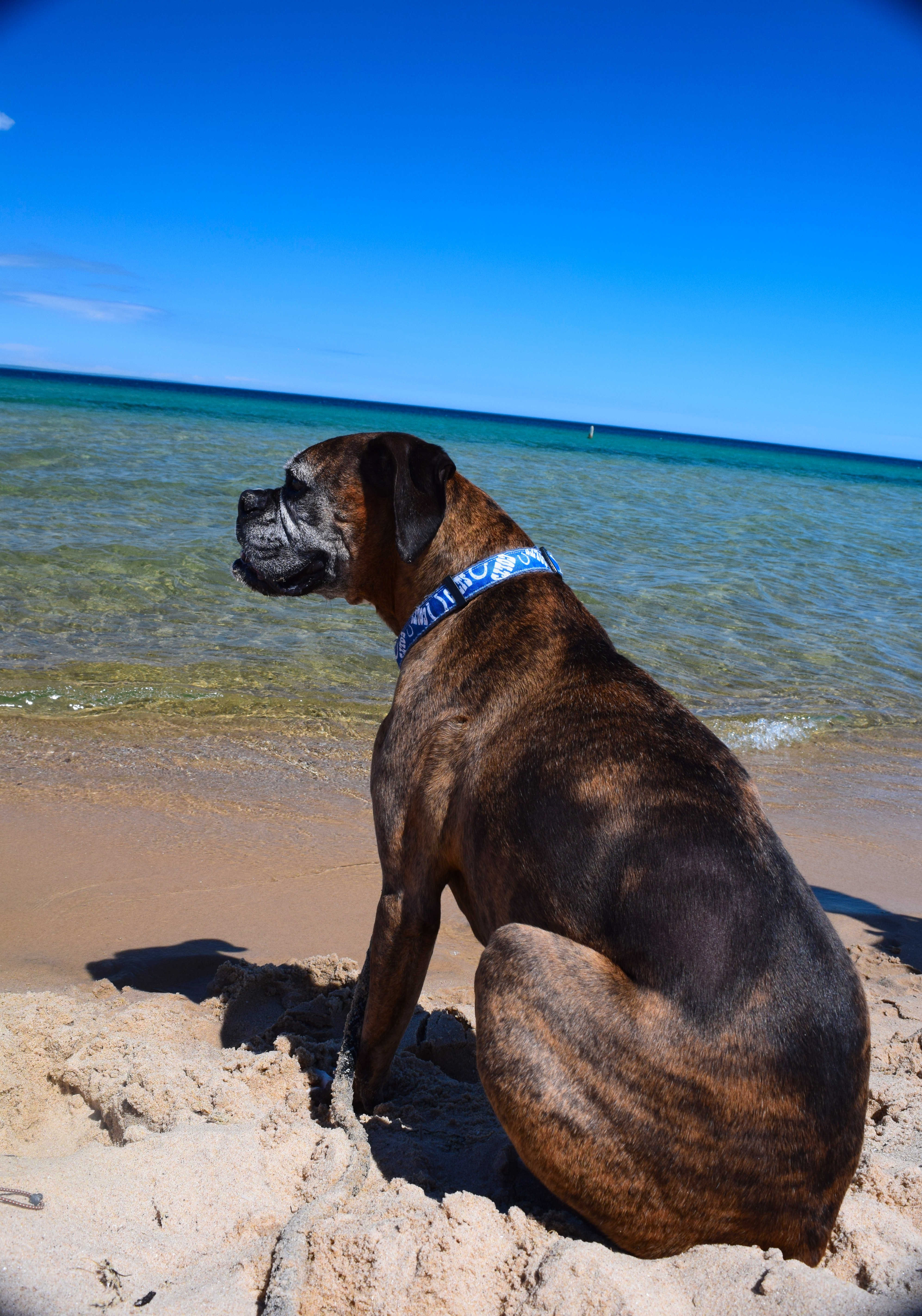 Seaside reflections.