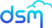 DSM Technology Consultant