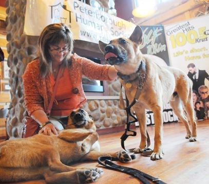 MyKawartha's Photos! Announcing the First Dog Walk!