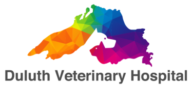 Duluth Veterinary Hospital 