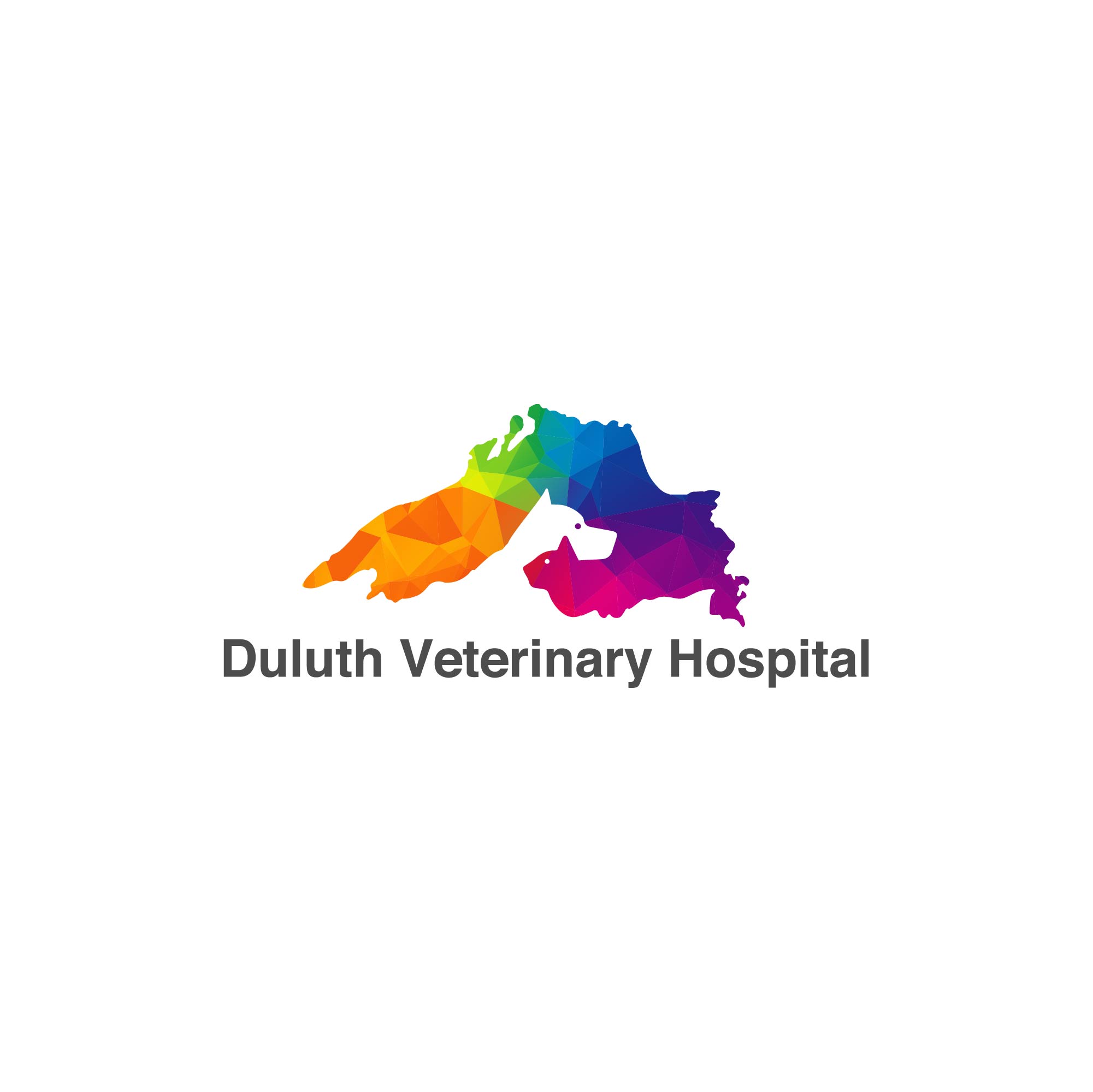 Duluth Veterinary Hospital