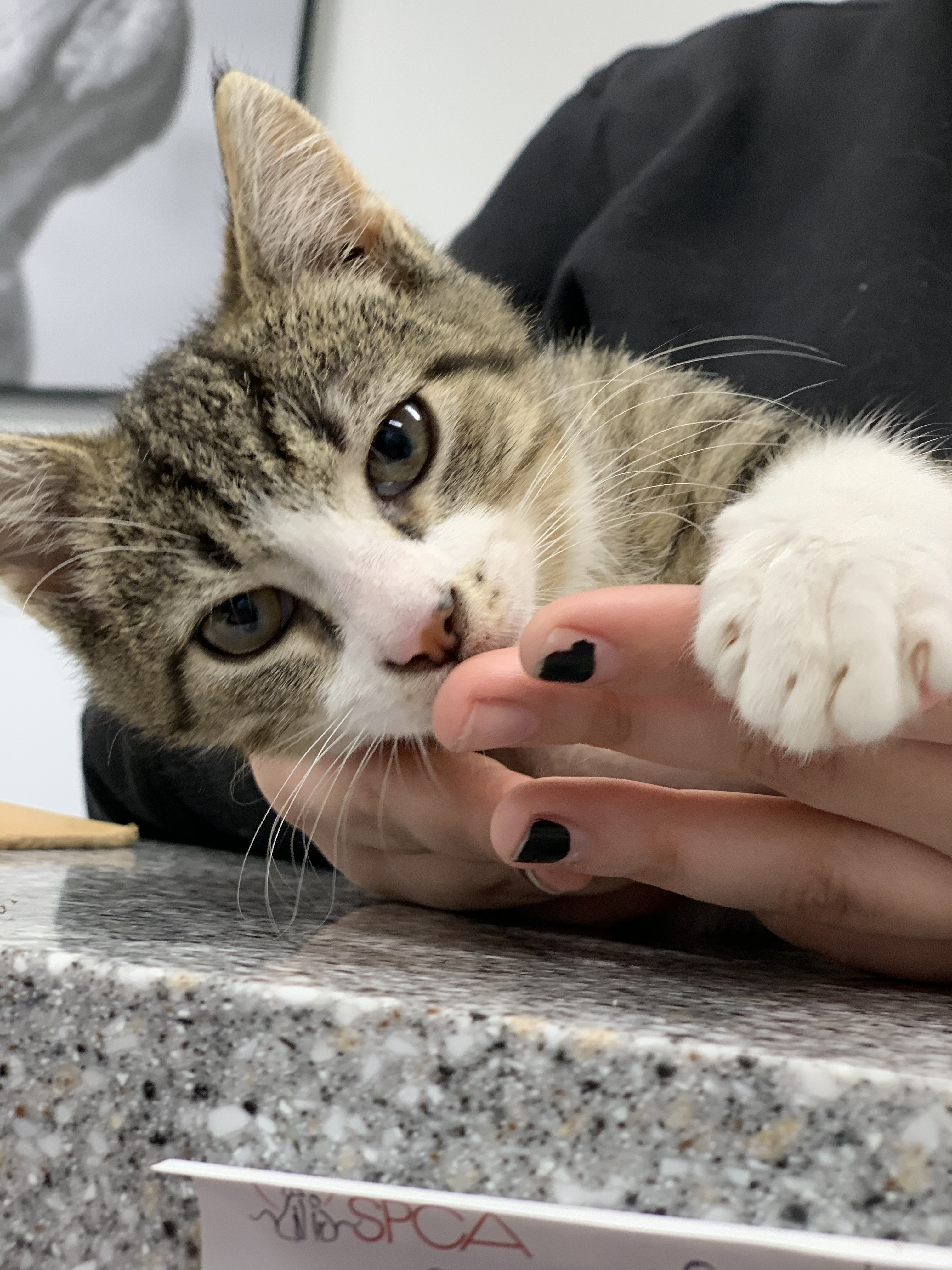 I’m cute; I know it