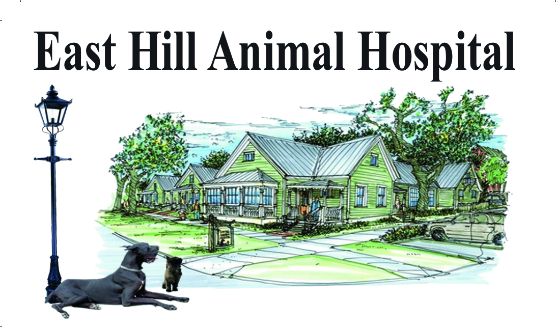 East Hill Animal Hospital