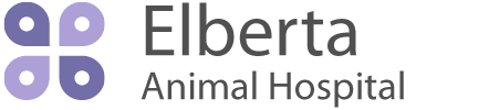 Elberta Animal Hospital