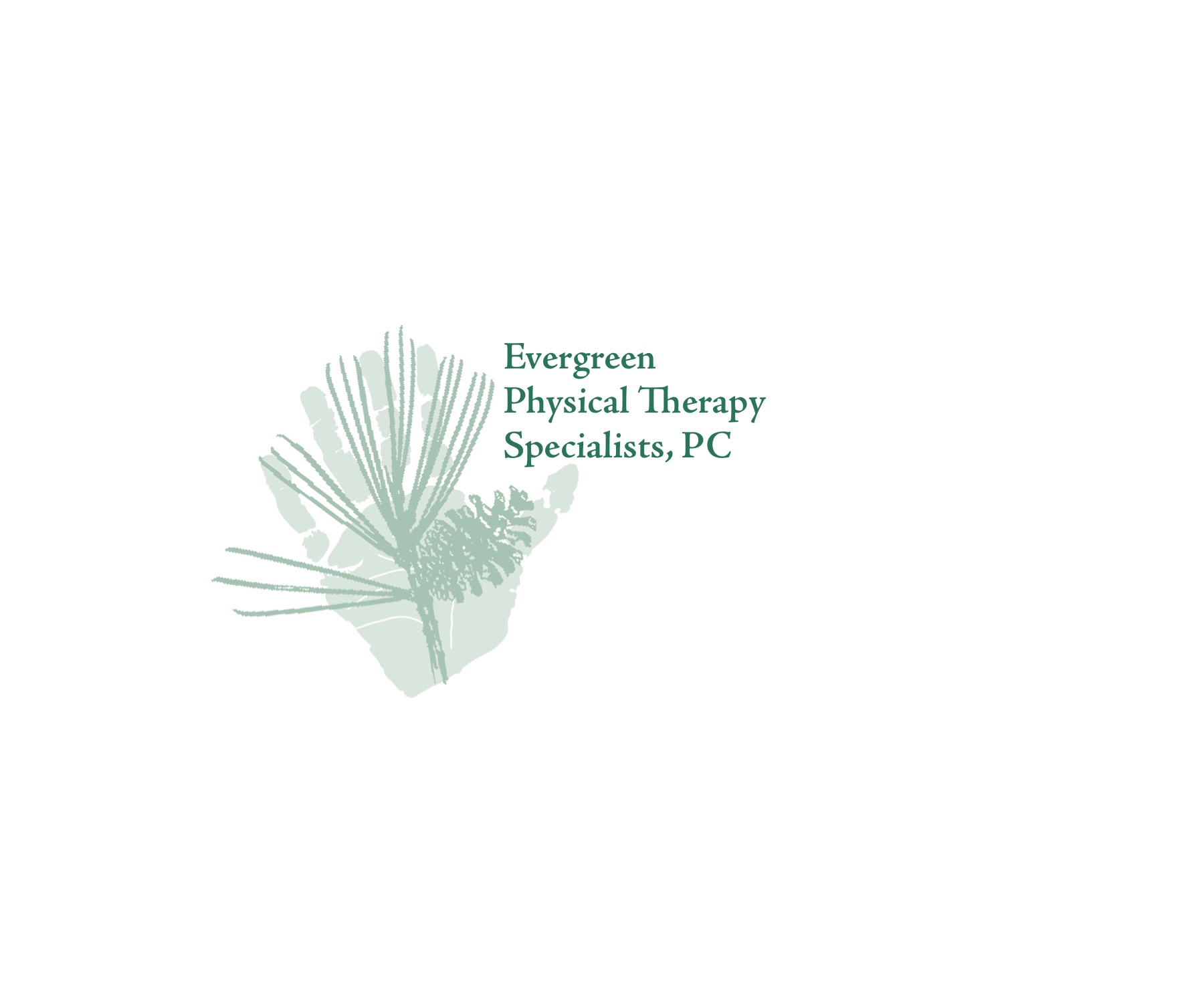 Evergreen Physical Therapy Specialists