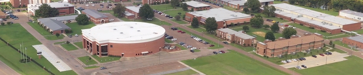 CCC Persist - Giving Campaign