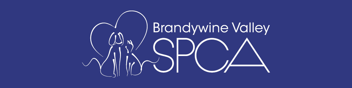 Des Pulliam Memorial Fund