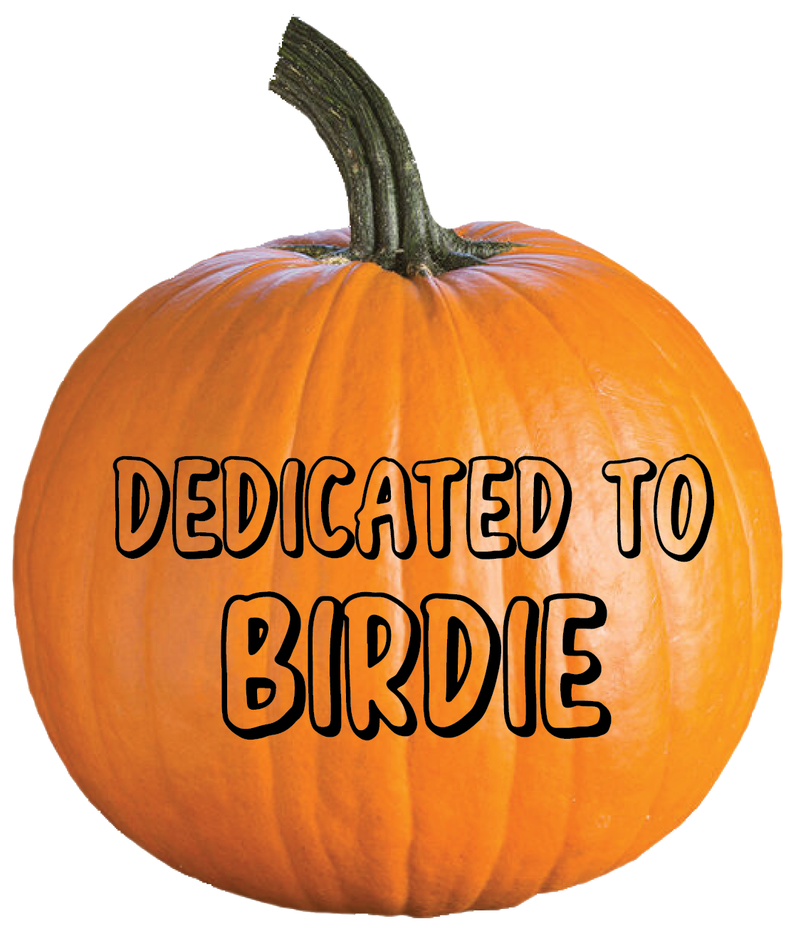 Thank you, Gary Sousa, for your donation of $104.45.