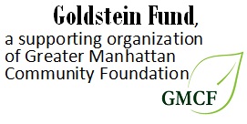 Goldstein Foundation 