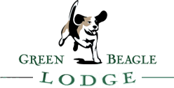 Green Beagle Lodge