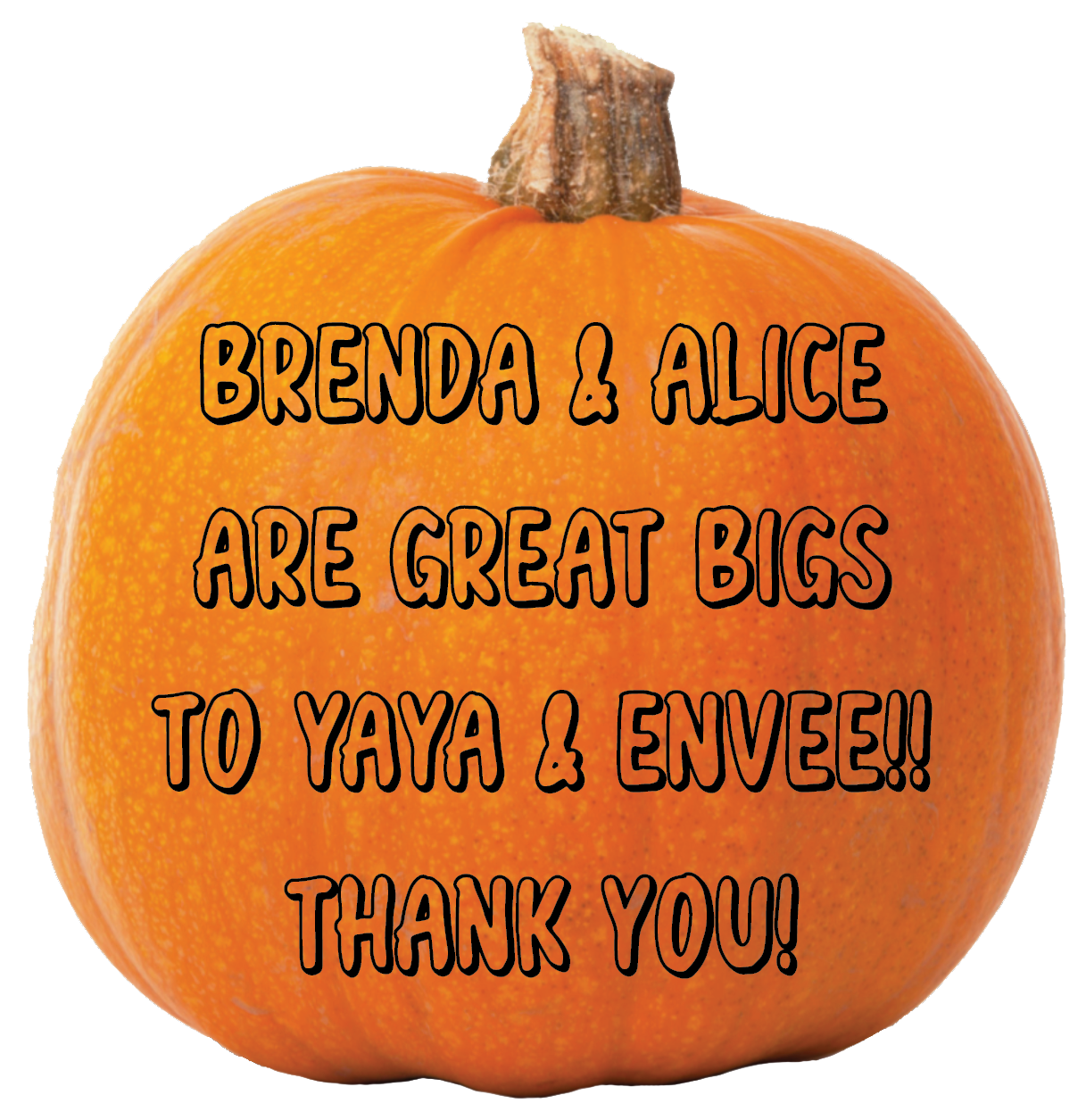 Thank you, Gregorio Martinez, for your donation of $52.22.