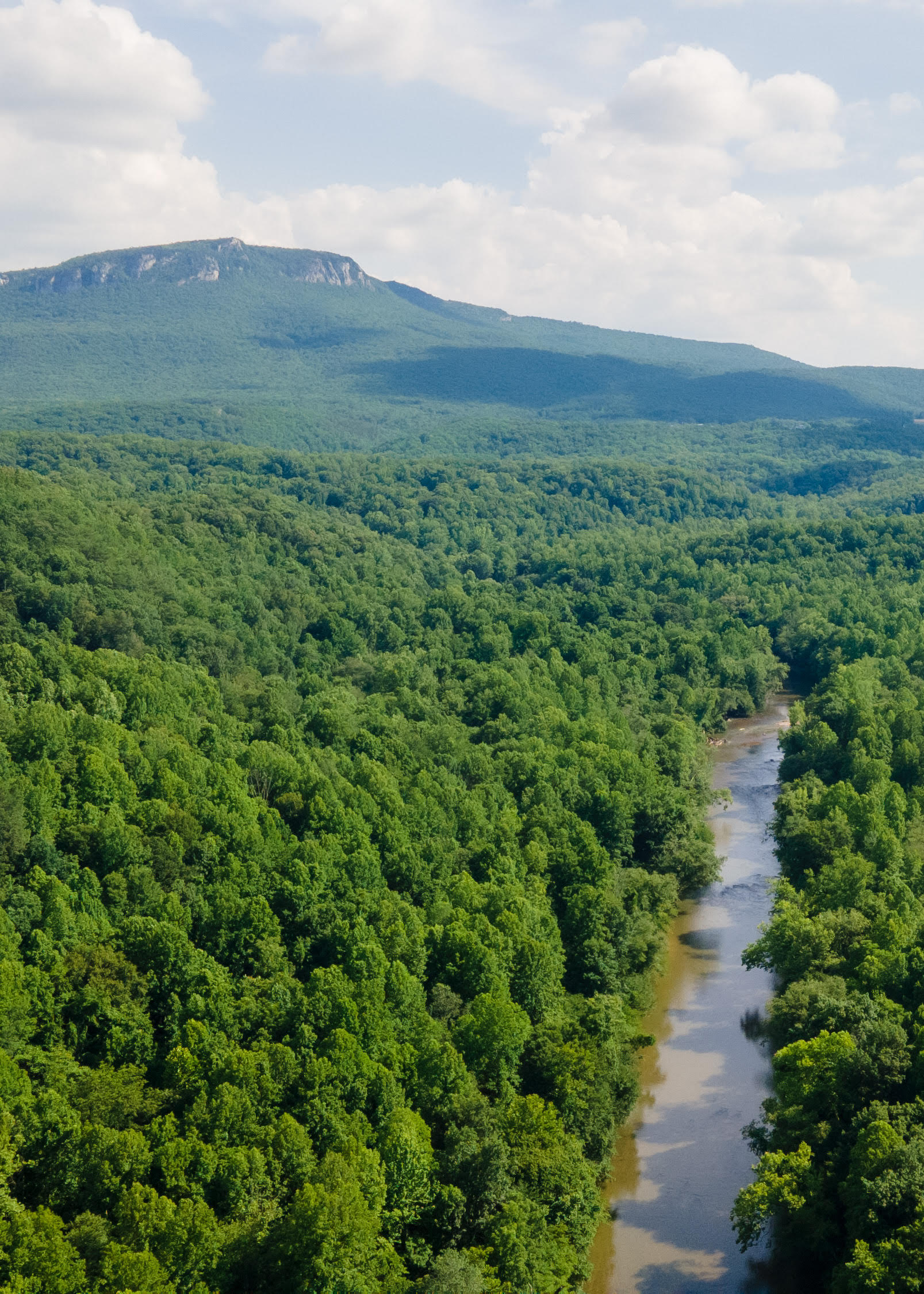 VADE MECUM AND MOORE'S SPRINGS MTB TRAILS