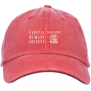 $250 Incentive Level - Virtual Pet Walk Hat