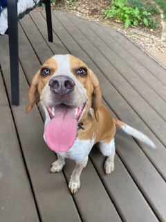 Our Little Guy, Henry