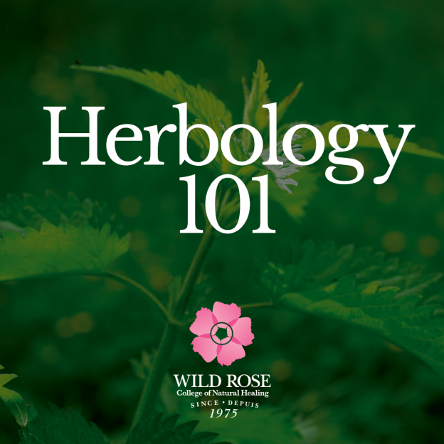Herbology 101 Course from Wild Rose College