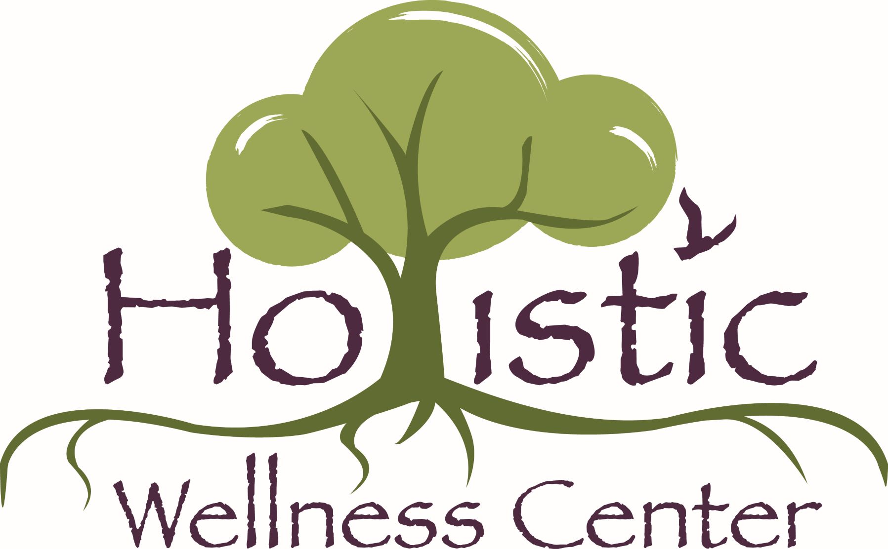 Holistic Wellness Center